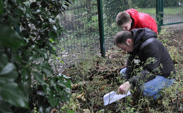 partnership gardening